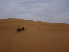 Morocco-Morocco-Oasis of Tafilalelt Expedition